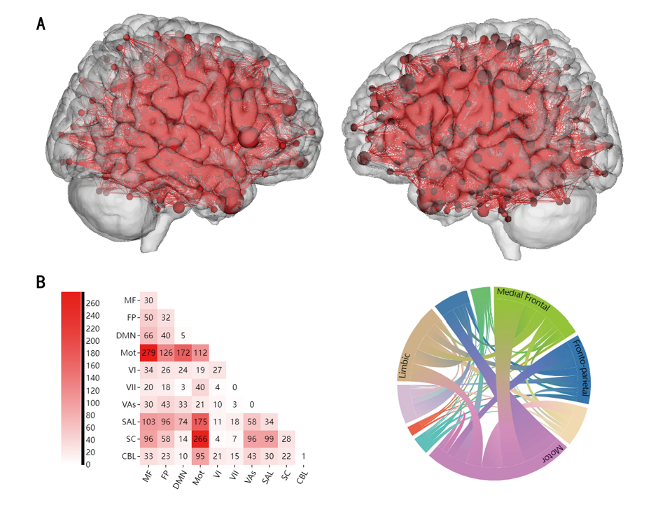 教育学院李海江副教授团队在Social Cognitive And Affective Neuroscience期刊上发表最新研究成果