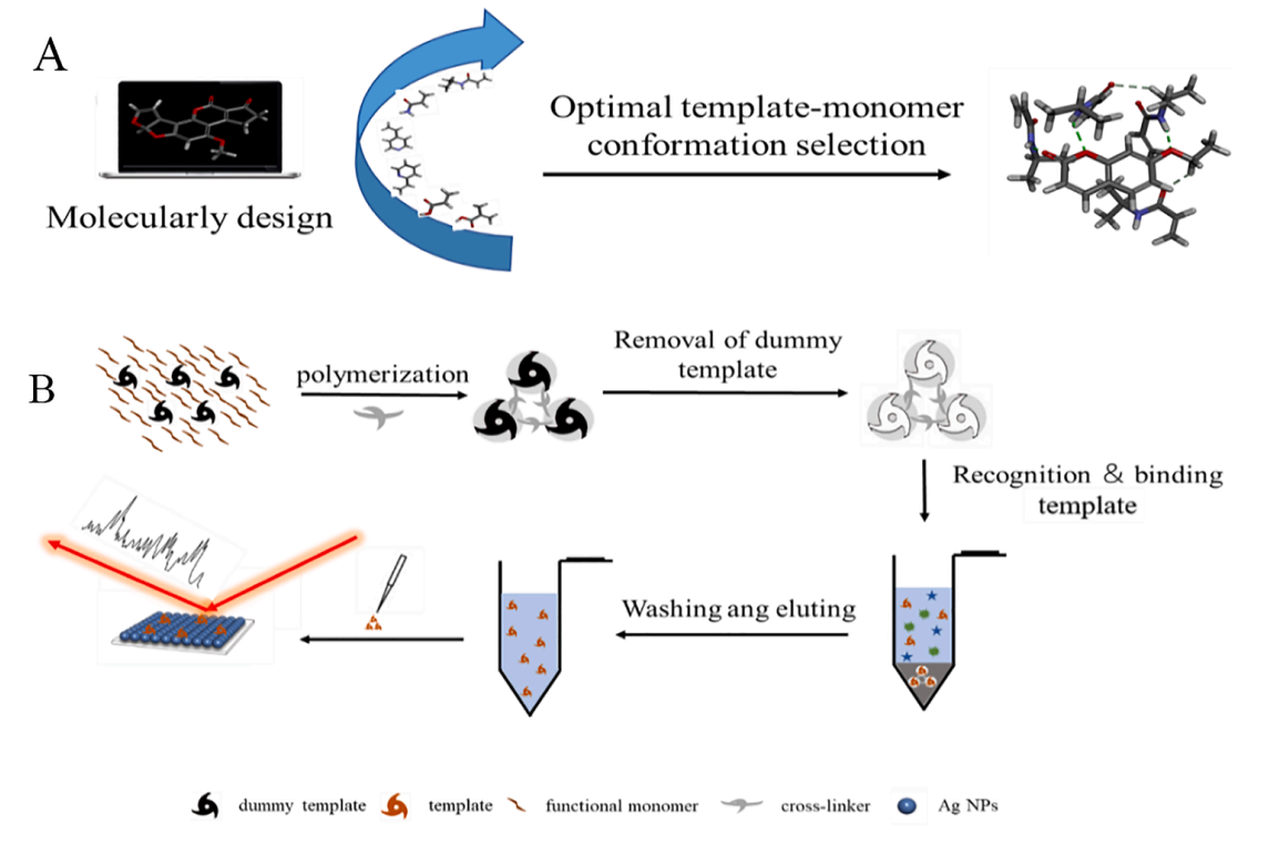 资源化学教育部重点实验室杨海峰教授团队在SPECTROCHIMICA ACTA PART AMOLECULAR AND