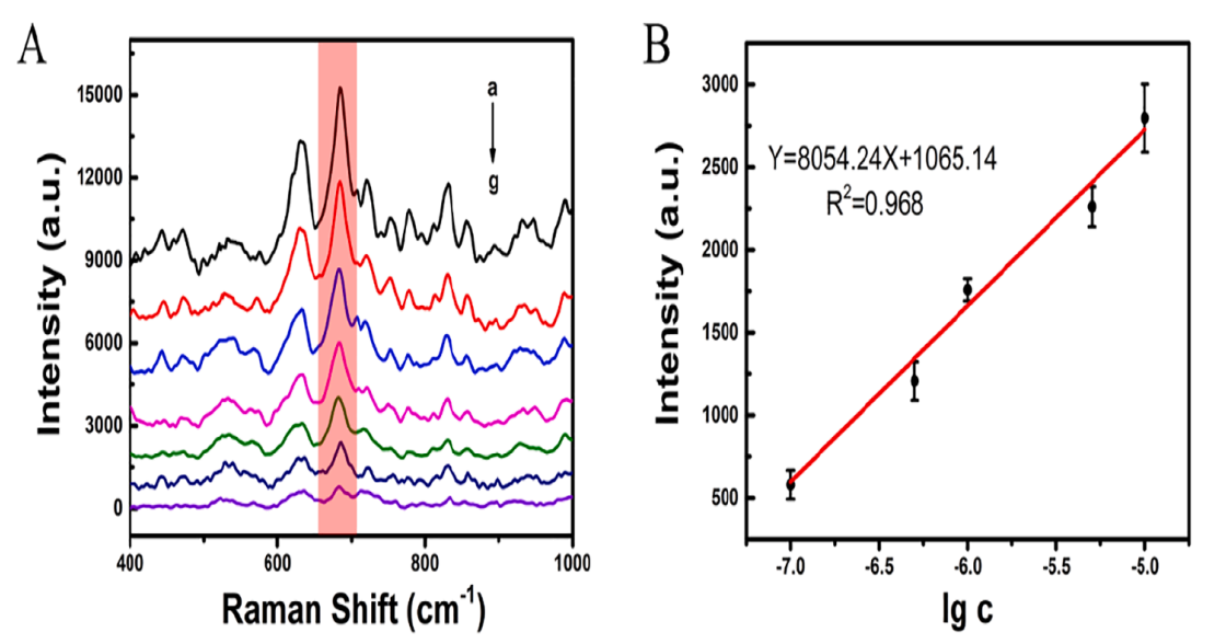 资源化学教育部重点实验室杨海峰教授团队在SPECTROCHIMICA ACTA PART A-MOLECULAR AND ...